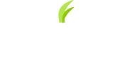tor